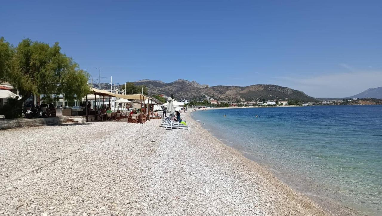 Apartmán Alexadra'S House Κάτω Αλμυρή Exteriér fotografie
